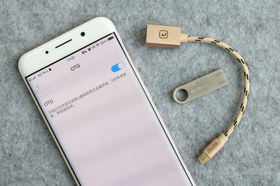 手機不支持插存儲卡？不怕，有OTG線的“優美”幫忙
